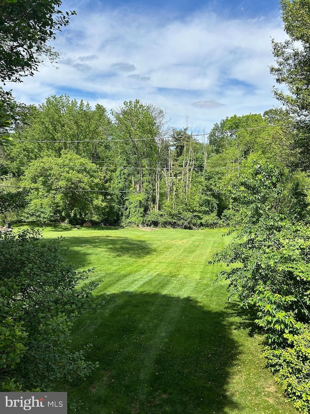 1821 Driver Ave, Lancaster, PA 17602 - view of green lawn
