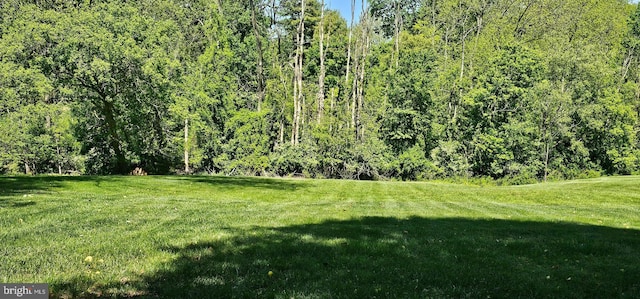 1821 Driver Ave, Lancaster, PA 17602 - view of green lawn with a wooded view
