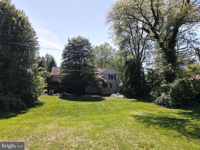 1821 Driver Ave, Lancaster, PA 17602 - view of green lawn