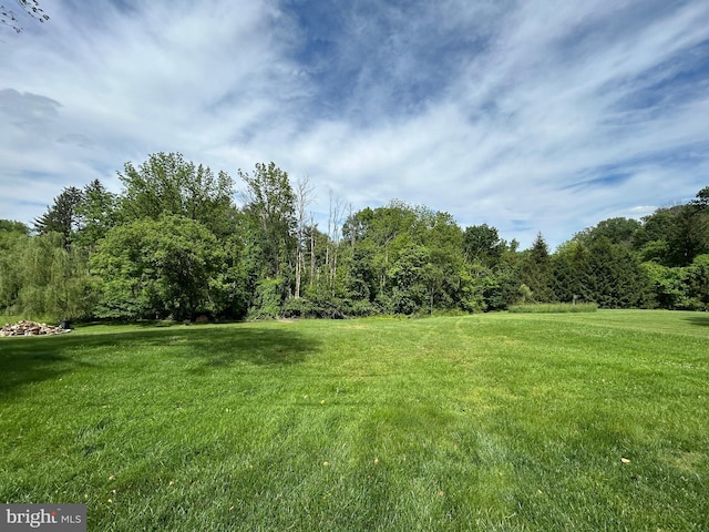 1821 Driver Ave, Lancaster, PA 17602 - view of grassy yard with a forest view
