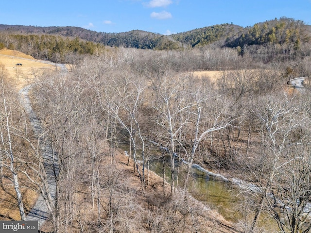 12814 Appel Rd SE, Little Orleans, MD 21766 - view of mountain backdrop