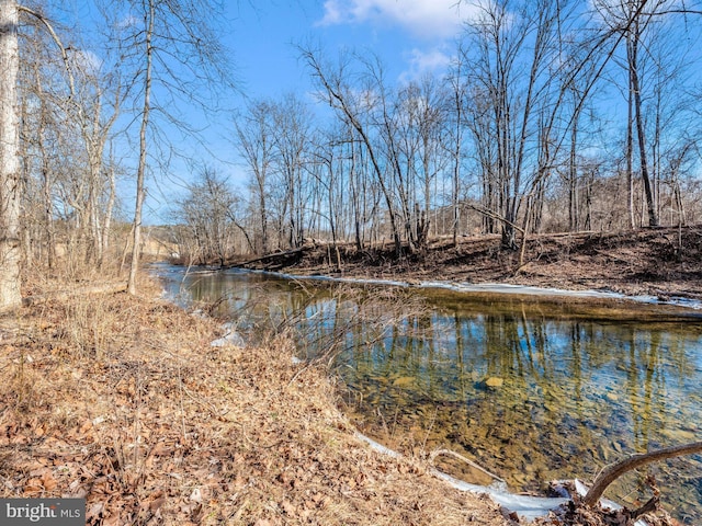 12814 Appel Rd SE, Little Orleans, MD 21766 - water view