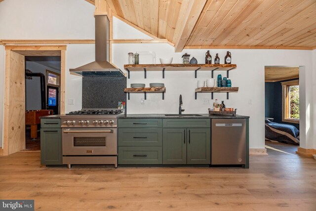 12814 Appel Rd SE, Little Orleans, MD 21766 - kitchen with green cabinets, stainless steel appliances, open shelves, a sink, and island range hood