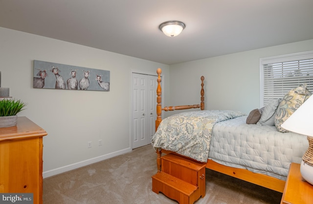 310 Valley Ct, Reading, PA 19608 - carpeted bedroom featuring baseboards and a closet