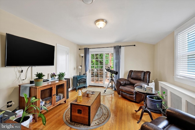 619 Warwick Rd, Baltimore, MD 21229 - living area with plenty of natural light, light wood-style flooring, a wood stove, and lofted ceiling