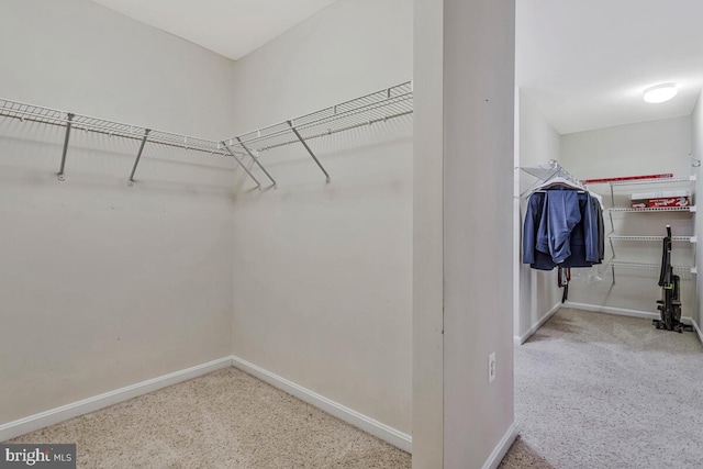 141 Lorins Dr, Huntingtown, MD 20639 - walk in closet featuring carpet floors