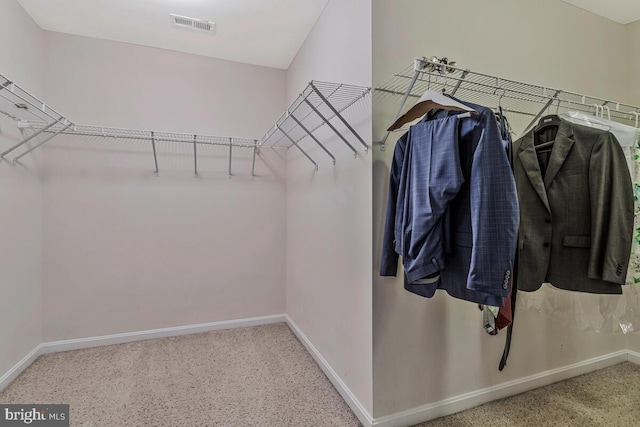 141 Lorins Dr, Huntingtown, MD 20639 - walk in closet with carpet floors