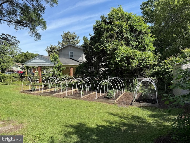 8230 Citadel Pl, Vienna, VA 22180 - view of green lawn featuring a vegetable garden