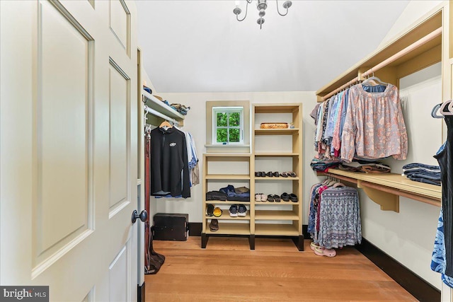 103 Orchard Hill Ln, Elverson, PA 19520 - walk in closet featuring wood finished floors and lofted ceiling