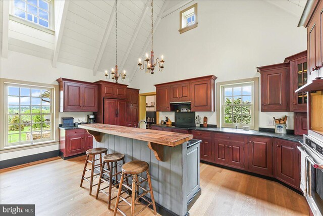 103 Orchard Hill Ln, Elverson, PA 19520 - kitchen with oven, high vaulted ceiling, a chandelier, light wood finished floors, and built in fridge