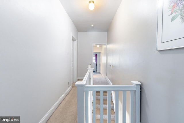 1238 N Mascher St, Philadelphia, PA 19122 - hall featuring an upstairs landing, light colored carpet, and baseboards