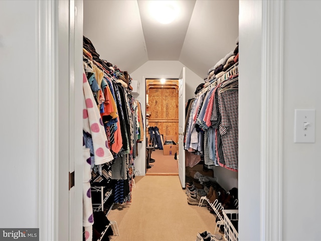 15 Behrens Dr, Palmyra, PA 17078 - spacious closet with carpet floors and lofted ceiling