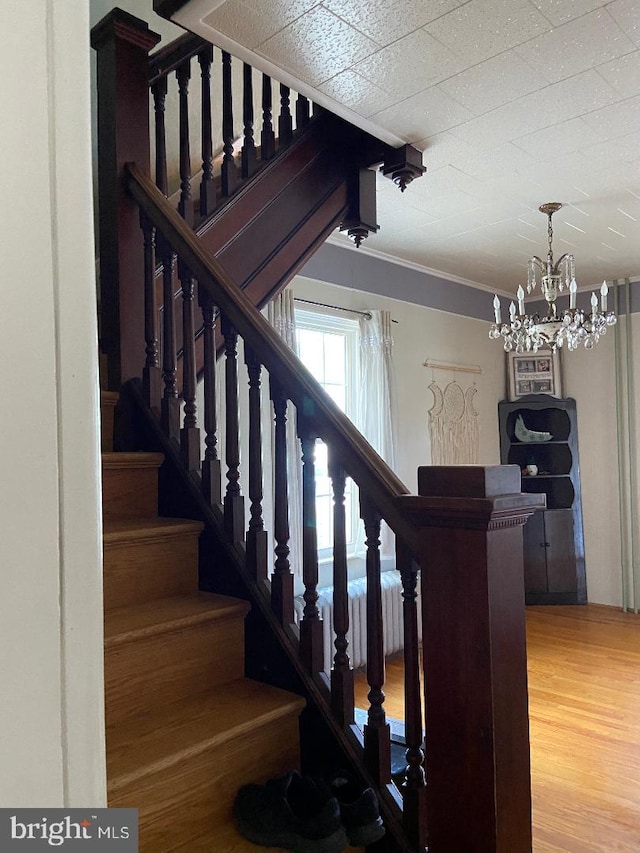10 Whyte St, Union Bridge, MD 21791 - stairway featuring a chandelier, wood finished floors, and ornamental molding
