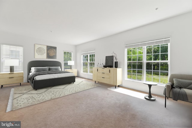 5809 Savannah Dr, Brandywine, MD 20613 - view of carpeted bedroom