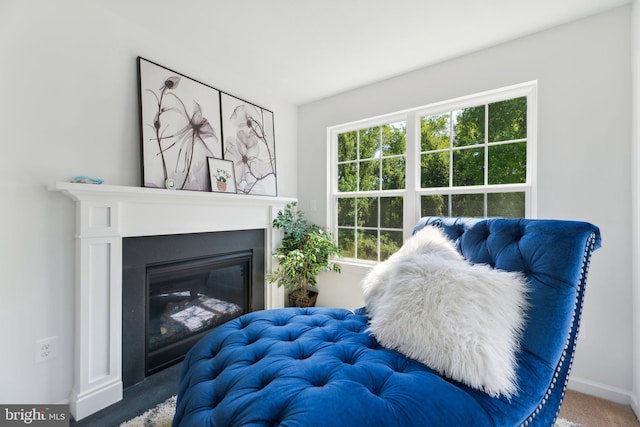 5809 Savannah Dr, Brandywine, MD 20613 - living area featuring carpet floors, baseboards, and a glass covered fireplace
