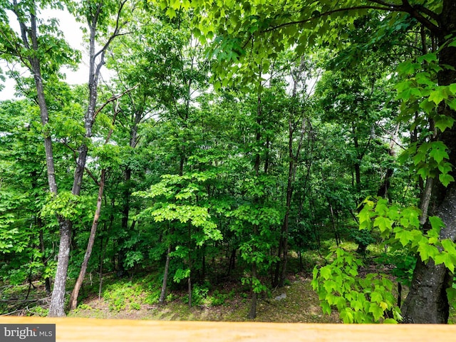 1502 Tomahawk Trl, Winchester, VA 22602 - view of local wilderness