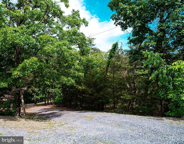 1502 Tomahawk Trl, Winchester, VA 22602 - view of yard