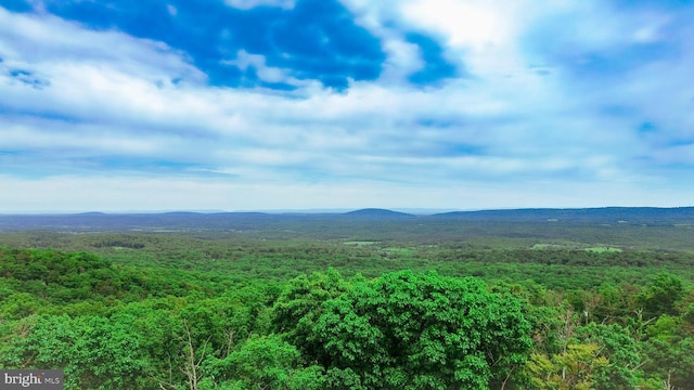 1502 Tomahawk Trl, Winchester, VA 22602 - mountain view featuring a heavily wooded area