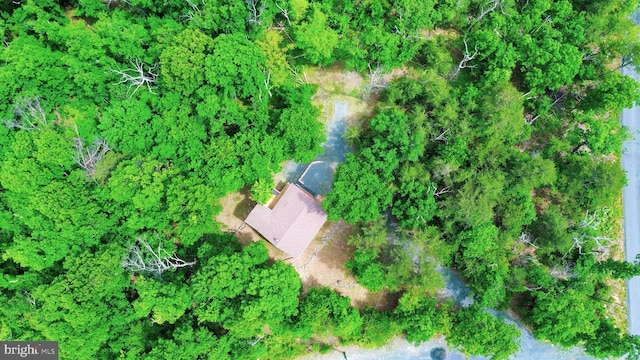 1502 Tomahawk Trl, Winchester, VA 22602 - view of property location
