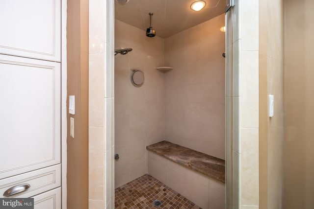 23 Street Rd, Newtown Square, PA 19073 - full bath featuring a tile shower
