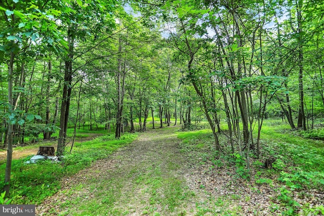0 Shull Hill Rd, Newport, PA 17074