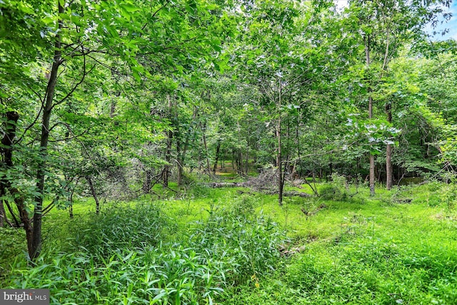 0 Shull Hill Rd, Newport, PA 17074
