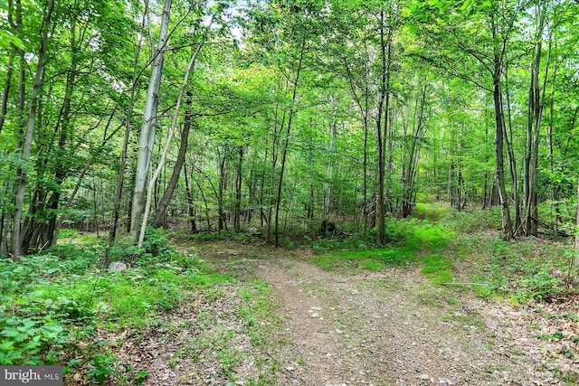 0 Shull Hill Rd, Newport, PA 17074