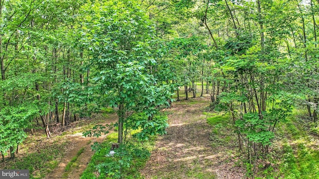 0 Shull Hill Rd, Newport, PA 17074