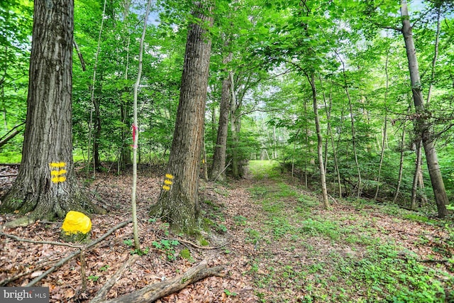 0 Shull Hill Rd, Newport, PA 17074