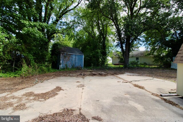 515 Burton Ave, Cambridge, MD 21613 - view of yard