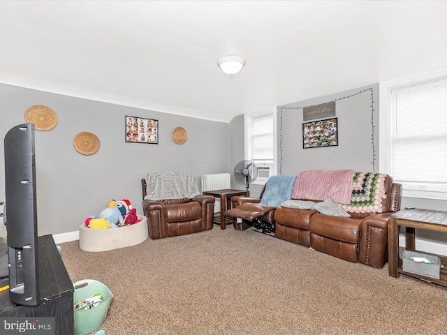 250 E E Main St, Waynesboro, PA 17268 - view of carpeted living area