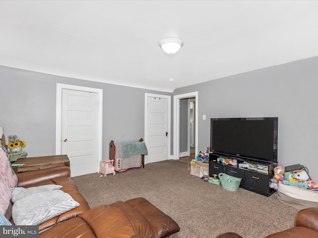 250 E E Main St, Waynesboro, PA 17268 - view of carpeted living area