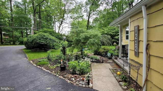 212 Haag Rd, Reading, PA 19606 - view of yard with view of wooded area