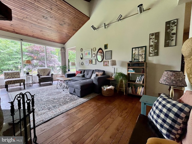 212 Haag Rd, Reading, PA 19606 - living area with wooden ceiling, hardwood / wood-style floors, and high vaulted ceiling
