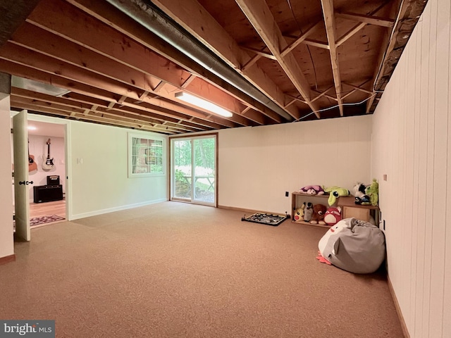 212 Haag Rd, Reading, PA 19606 - basement with carpet