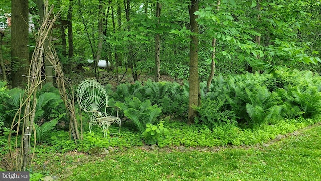 212 Haag Rd, Reading, PA 19606 - view of nature