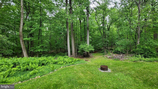 212 Haag Rd, Reading, PA 19606 - view of yard with an outdoor fire pit and a forest view