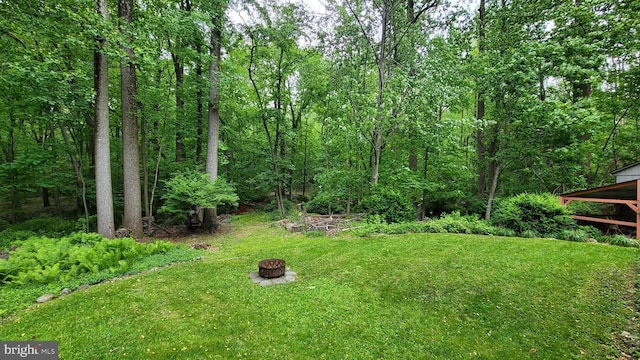212 Haag Rd, Reading, PA 19606 - view of green lawn with a wooded view