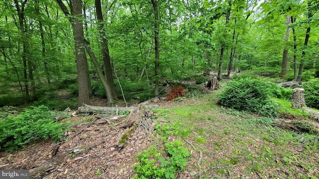 212 Haag Rd, Reading, PA 19606 - view of tree filled area