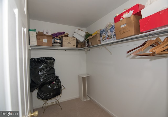 9 Paddington Ct, Hockessin, DE 19707 - walk in closet featuring carpet floors