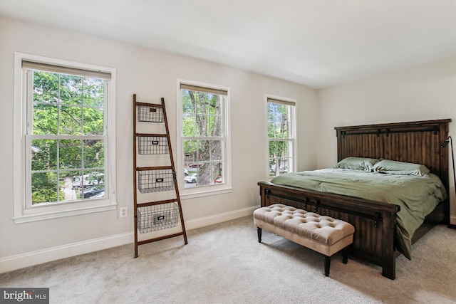 11910 Saint Johnsbury Ct, Reston, VA 20191 - bedroom with light colored carpet and baseboards