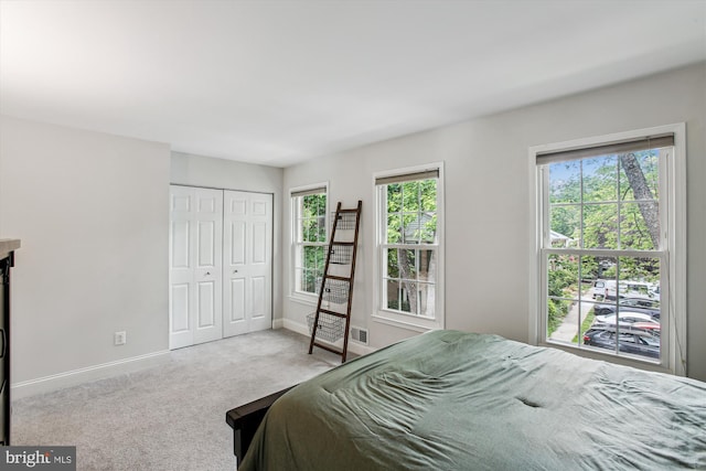 11910 Saint Johnsbury Ct, Reston, VA 20191 - bedroom featuring baseboards, carpet flooring, and a closet