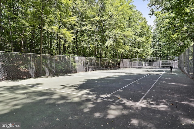 11910 Saint Johnsbury Ct, Reston, VA 20191 - view of tennis court