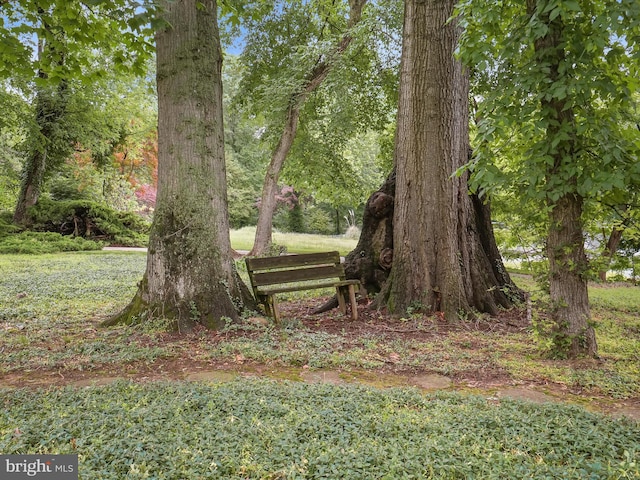 1316 Swan Harbour Rd, Fort Washington, MD 20744 - view of yard