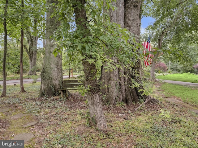 1316 Swan Harbour Rd, Fort Washington, MD 20744 - view of yard