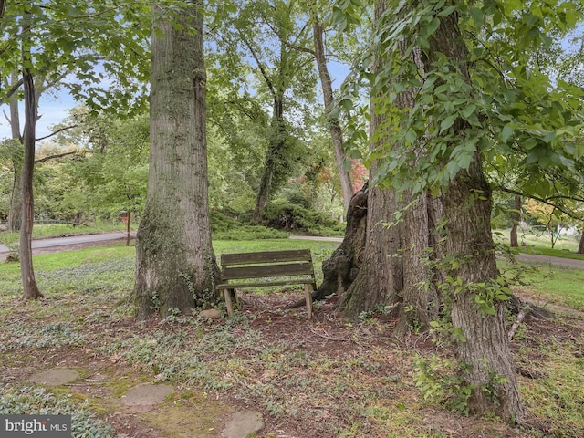 1316 Swan Harbour Rd, Fort Washington, MD 20744 - view of property's community