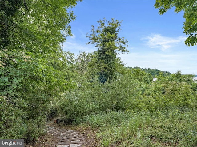 1316 Swan Harbour Rd, Fort Washington, MD 20744 - view of tree filled area