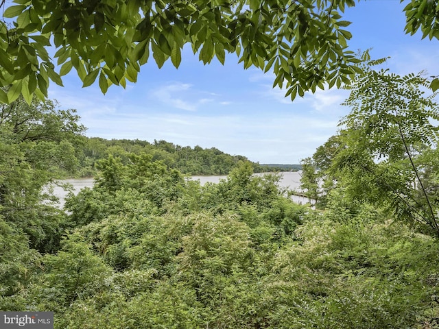 1316 Swan Harbour Rd, Fort Washington, MD 20744 - water view with a forest