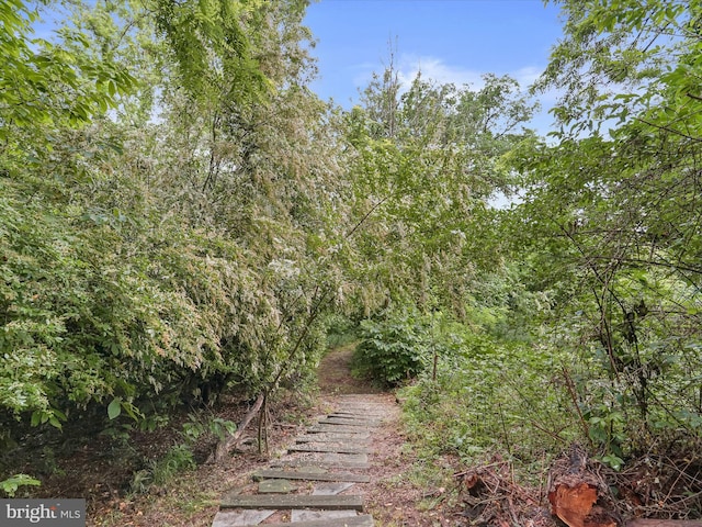 1316 Swan Harbour Rd, Fort Washington, MD 20744 - view of yard