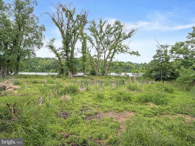 1316 Swan Harbour Rd, Fort Washington, MD 20744 - view of yard featuring a view of trees